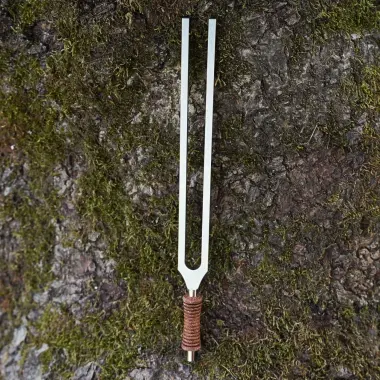 MEINL Stimmgabel aus Stahl | Gamma