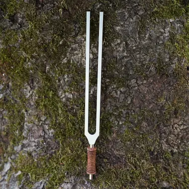 MEINL Stimmgabel aus Stahl | Theta