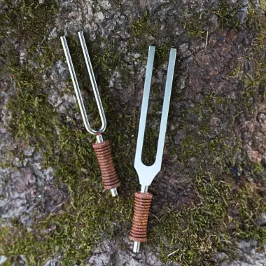 MEINL Stimmgabel aus Stahl | Sarosperiode
