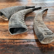 Büffelhorn auch "TUWA" genannt | Grössen von 38-44 cm