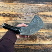 Büffelhorn auch "TUWA" genannt | Grössen von 38-44 cm