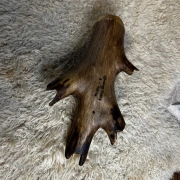 Okarina aus Aststück | E4 in 432 Hz | Pentatonische Stimmung | ca. 28 cm