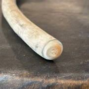 Trommelstock aus Fichtenholz mit Lederklöppel