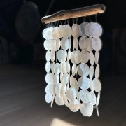 Windspiel aus Strangmuschelscheiben an Schwemmholzast