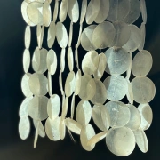 Windspiel aus Strangmuschelscheiben an Schwemmholzast