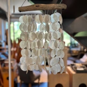 Windspiel aus Strangmuschelscheiben an Schwemmholzast