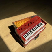 "Radha" Reise Harmonium mit 3¼ Oktaven | Zedernholz Edition | 440 Hz