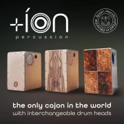 Cajon – Duo Louro | ION Percussion | fliessende Holzzeichnung