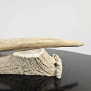 Obsidianmesser | Handgefertigt aus Hirschhorn & Mahogany Obsidian