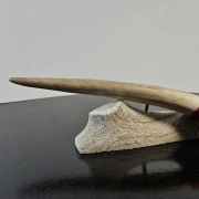 Obsidianmesser | Handgefertigt aus Hirschhorn & Mahogany Obsidian