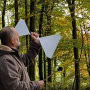 Wave CG | 432 Hz – Heilige Quinte für Harmonie, Heilung und Transformation