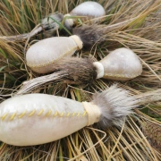 Schamanen Rassel aus Rohhaut | M