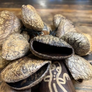 Rassel mit Pangi Samen am Bambus Stab