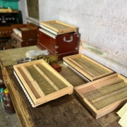 "Radha" Reise Koffer Harmonium mit 3¼ Oktaven | Zedernholz Edition | 440 Hz