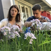 Handpan Soulpan | D Kurd | 14  Klangfelder – lebendig & warm