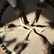 Schamanische Rohautrassel aus Rinderhaut mit Rehhorngriff