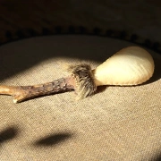 Schamanische Rohautrassel aus Rinderhaut mit Rehhorngriff