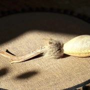 Schamanische Rohautrassel aus Rinderhaut mit Rehhorngriff