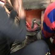 Klangschale mit Yin Yang Baum  | ø 30 cm | Ton ~ E2 | Sonnenton (256 Hz)