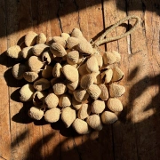 Pangi Nussschalen Rassel | Sanfter Wasserklang für Klangräume und Rituale