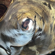 Schamanentrommel | ø 46-50 cm | Hirsch