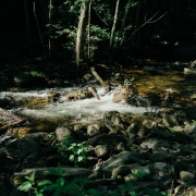 Klangspiel | Koshi | Earth Symphony