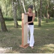 Master Tambura Monochord