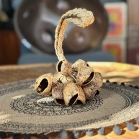 Rassel | Hand-Shaker mit 22 Pangi-Samen