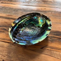 Räuchermuschel | Blaue Abalone