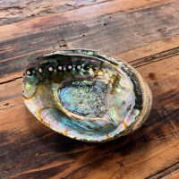 Räuchermuschel | Blaue Abalone