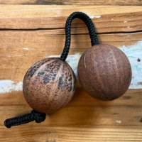 Doppelball Rassel | Thelevi Kapselfrucht