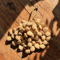 Pangi Nussschalen Rassel | Sanfter Wasserklang für Klangräume und Rituale