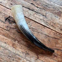 Kuhhörner | Klang der Ahnen und Natur | Grössen von 42 - 45 cm