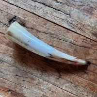 Kuhhörner | Klang der Ahnen und Natur | Grössen von 42 - 45 cm