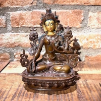 Statue | Shakyamuni Buddha | 20 cm
