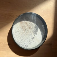 Ocean Drum – Wellentrommeln