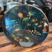 Ocean Drum – Wellentrommeln | für Therapie & Kinder mit Fischdesign