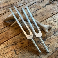Stimmgabel | Set Muskeln & Fettzellen | made in Germany