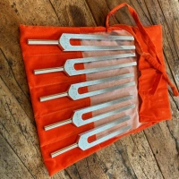 Stimmgabel | Set Asteroiden | Biosonics