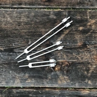 Stimmgabel | Set Otto Tuner | Biosonics