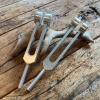 Stimmgabel | gewichtet | Set Body Tuner | Biosonics